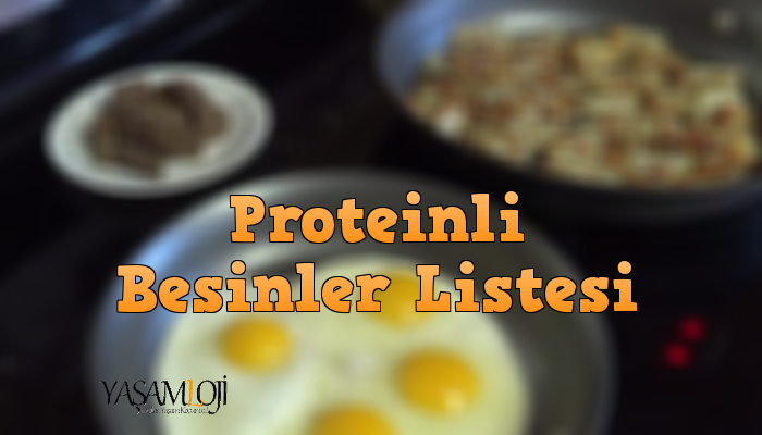 protein protein besinler Protein İçeren Yiyecekler ve Proteinli Besinler protein i  eren besinler