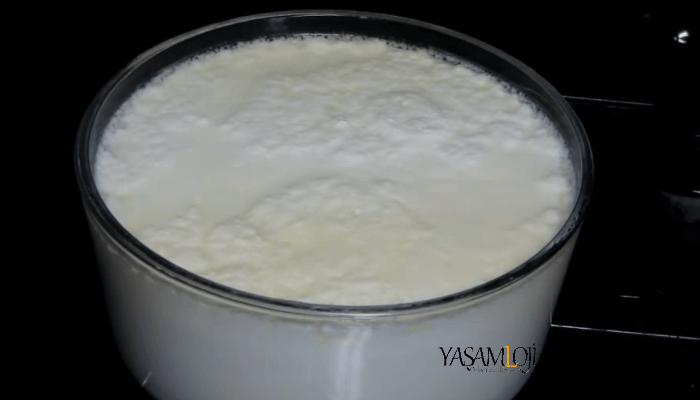 yoğurt kalorisi zayıflama yoğurt kalori Yoğurt Kaç Kalori Zayıflatır mı? yo  urt zay  flat  rm