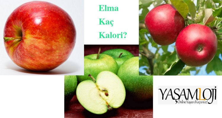 elma kaç kalori elma kaç kalori Bir Elma Kaç Kaloridir ve Kilo Yapar mı? elma ka   kalori