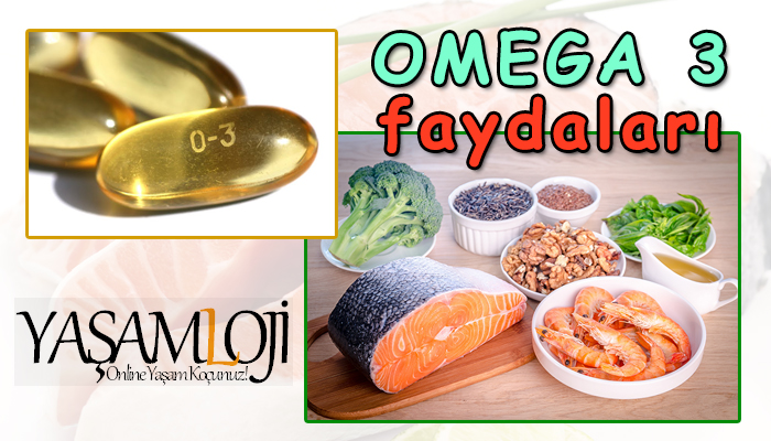 omega 3 faydaları omega 3 faydaları Omega 3 Faydaları Nelerdir omega 3 faydalari