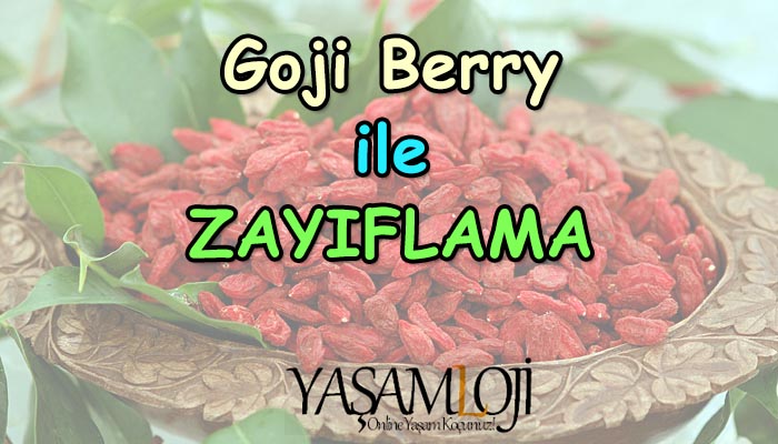 goji bery ile zayıflama goji berry ile zayıflama, kurt üzümü, zayıflama, kilo verme, nasıl kullanılır Goji Berry ile Zayıflama goji bery ile zayiflama