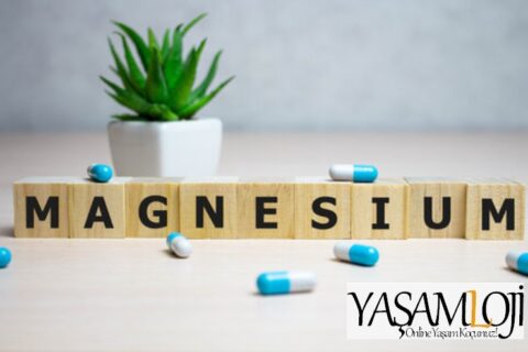 Anksiyete için Hangi magnezyum kullanılır  Kaygı ve depresyon için en iyi magnezyum formları Anksiyete icin Hangi magnezyum kullanilir 480x320