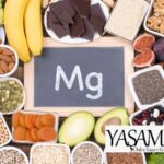 Magnezyum malat mı glisinat mı  Magnezyum malat mı glisinat mı ? Magnezyum malat mi glisinat mi 150x150