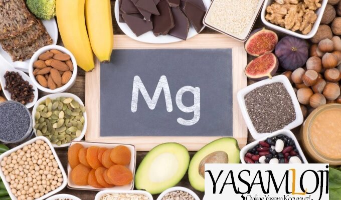Magnezyum malat mı glisinat mı  Magnezyum malat mı glisinat mı ? Magnezyum malat mi glisinat mi 680x400